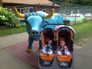 babe-the-blue-ox-twins