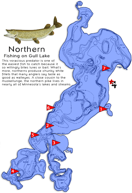 northern-map