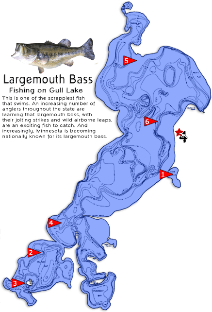 Gull Lake Topographic Map MN Fishing Resort   Gull Lake Bass Fishing Hot Spots   Map Of Gull 