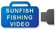 video-icon-sunfish