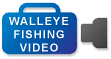 video-icon-walleye
