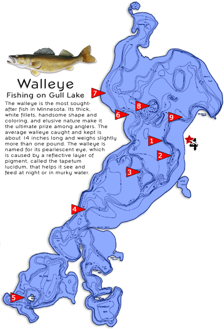 Walleye Lake Habitat Map